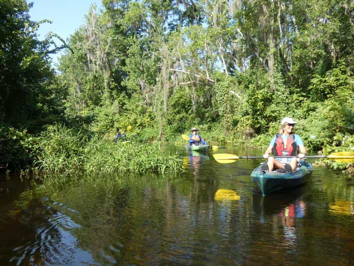 Orlando: Excursión panorámica en kayak por el río Wekiva en grupo reducido