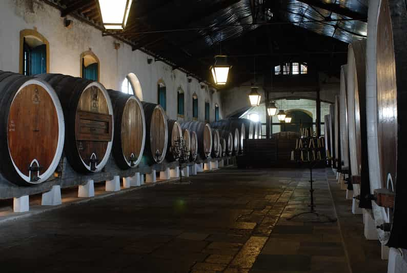 Colares: Visita Estándar con degustación de nuestros vinos DOC Colares