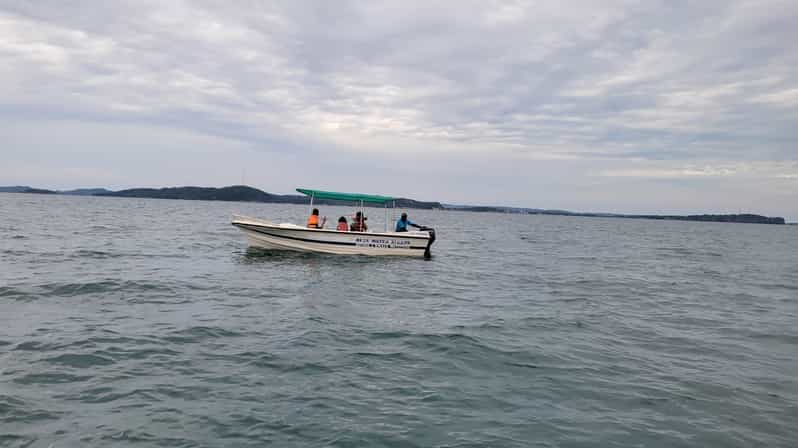 Trincomalee: Whales & Dolphin Watching Tours