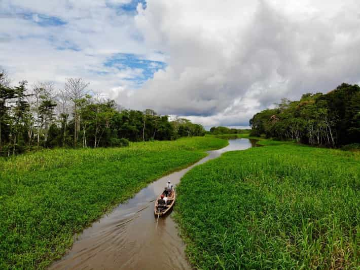 Observación de aves en el Amazonas