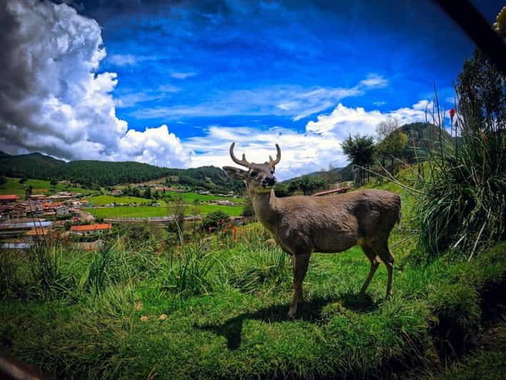 Cajamarca | Granja Porcón y Otuzco |