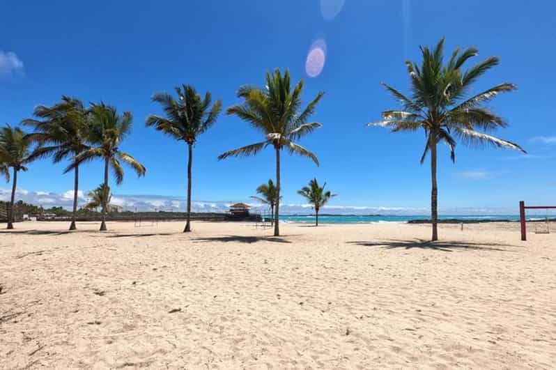 Desde Puerto Ayora: Excursión de un día a la Isla Isabela y el Islote de Tintorera