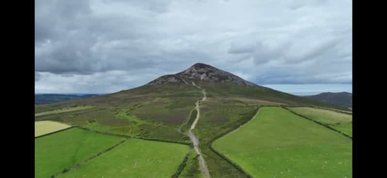 Recorrido por el Jardín de Irlanda en Wicklow