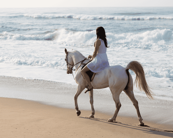 Salalah: Paseos a caballo por la playa