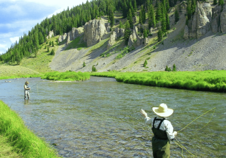 Big Sky: Aprende a pescar con mosca en el río Gallatin (3 horas)