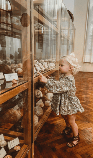 Cavtat: Experimenta la maravilla del océano en el Museo de la Concha