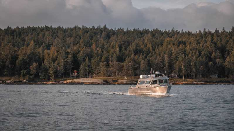 Nanaimo: Tour en barco semicubierto para avistar ballenas