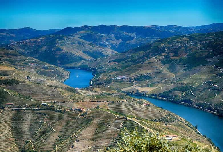 Duero: Régua/Pinhão/Amarante/Lamego, Bodega y Almuerzo