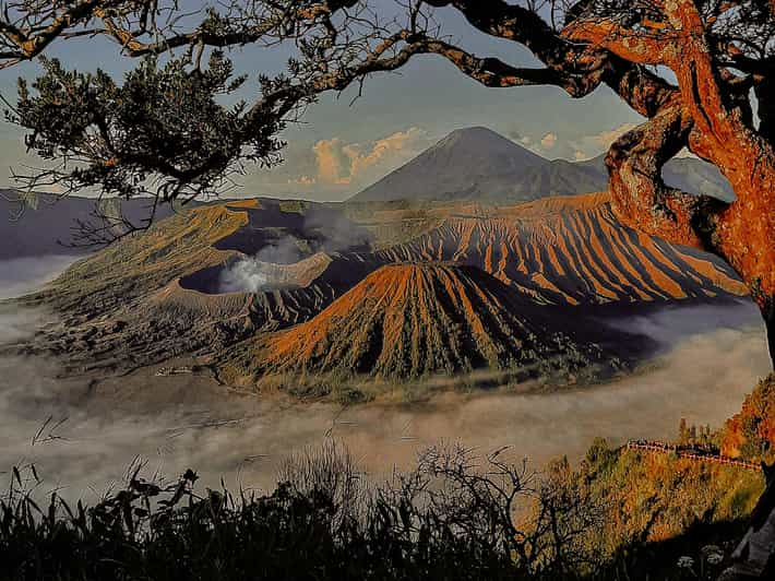 Excursiones compartidas al Monte Bromo e Ijen desde Malang - 2D1N