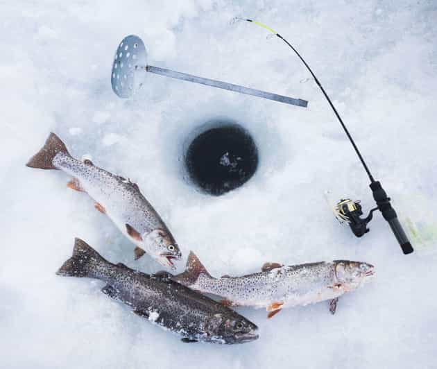 Aventura de pesca en hielo en Levi con sopa de salmón