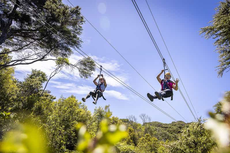 Isla de Waiheke Excursión de Aventura en Tirolina y Bosque Nativo