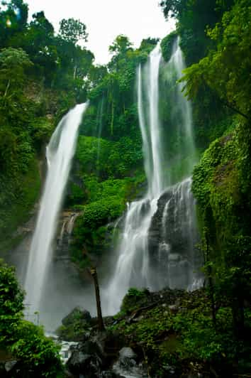 Viaje al Norte de Bali : Excursión a las Cascadas Majestuosas