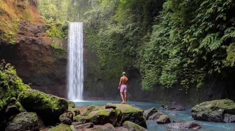 Ubud: Cascadas, Templo del Agua y Terrazas de Arroz Tour privado