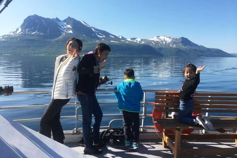 Tromsø: Crucero por el Fiordo de las Aves Silvestres con Comida y Bebidas