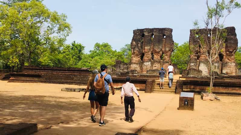 Visita panorámica de Polonnaruwa y safari en elefante por Minneriya