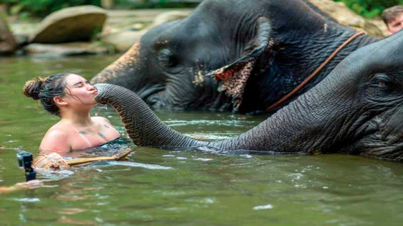 Khao Lak: Safari en elefante con almuerzo