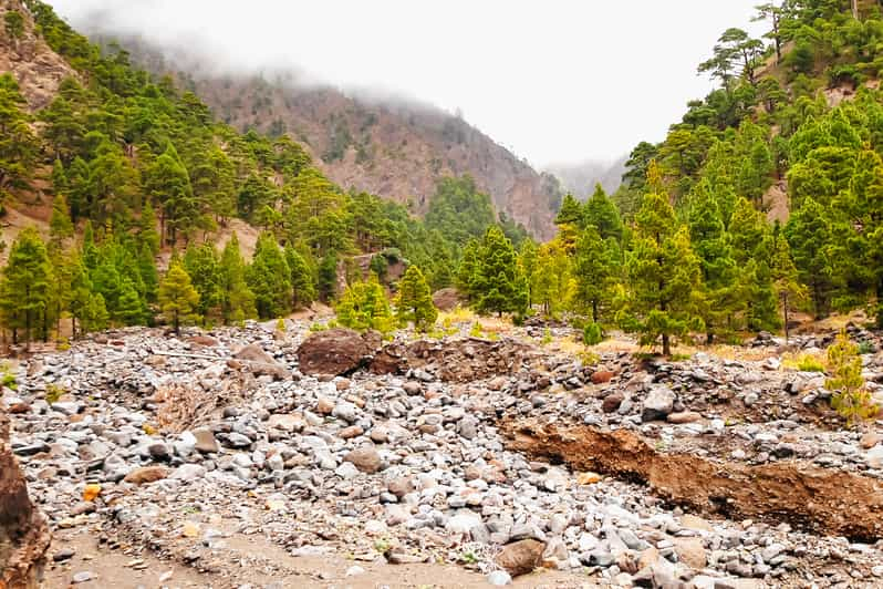 La Palma: tour por el parque de la Caldera de Taburiente