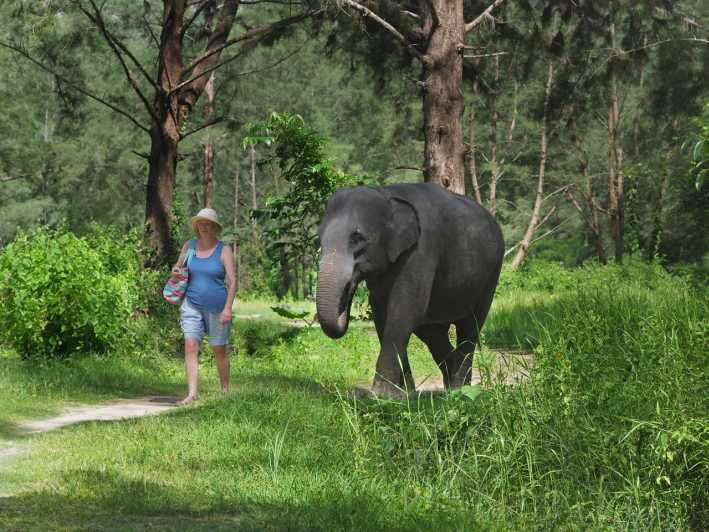 Khao Lak : Excursión en Balsa de Bambú, Elefantes y Centro de Tortugas
