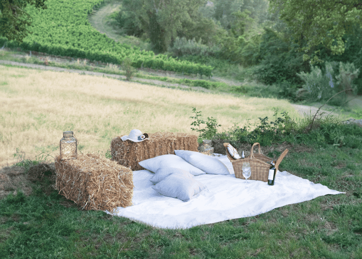 San Gimignano: Cata de vinos con aperitivo en el viñedo