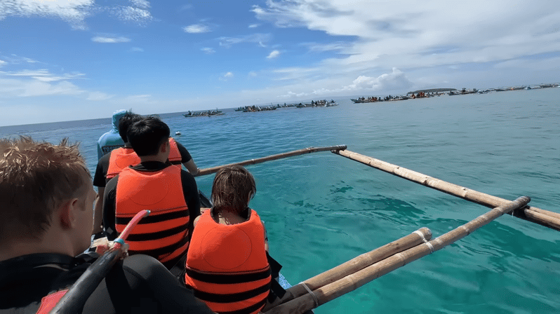 Cebú:Encuentro con el tiburón ballena &Moalboal Sardinas &Turtle Thrill