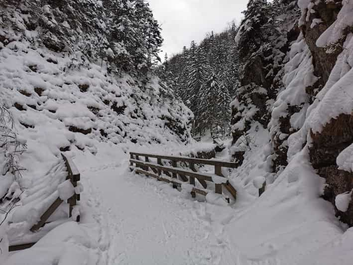 Excursión por el País de las Maravillas Invernal de Zakopane y visita a la ciudad