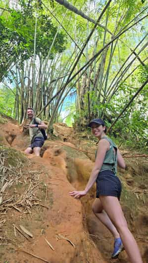 Fajardo: Aventura guiada por la selva tropical