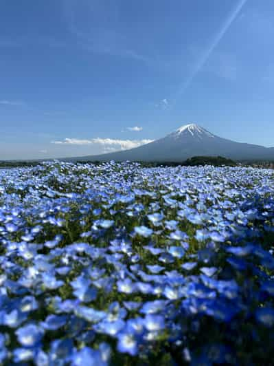 Tour Privado del Monte Fuji en Coche con Guía de habla inglesa