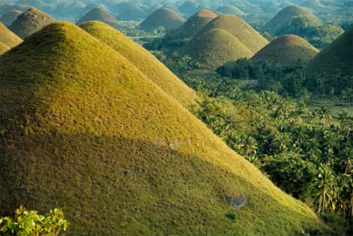 Desde Cebú: Excursión de un día a Bohol