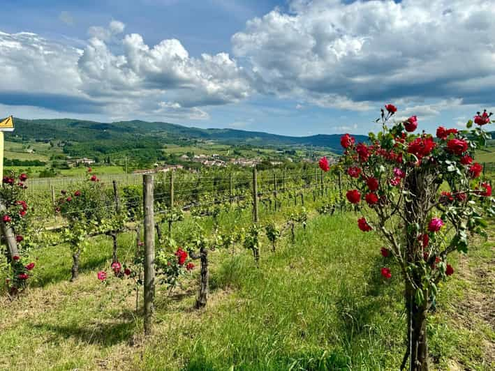 Senderismo y degustación en Greve in Chianti