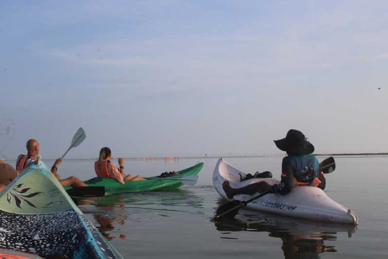 Holbox: Excursión guiada en kayak al amanecer por la Reserva de Manglares