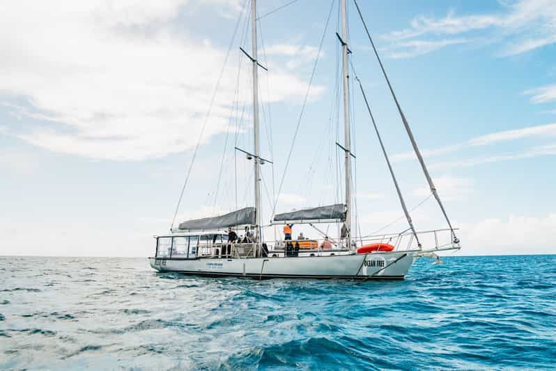 Cairns: tour de Green Island y Gran Barrera de Coral