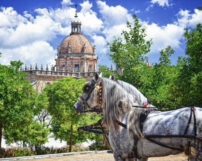 Jerez: tour guiado del centro histórico
