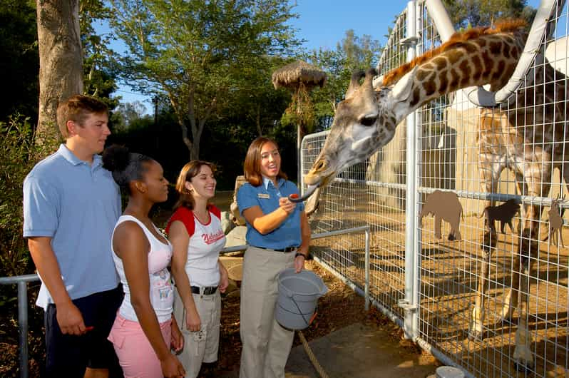 Ticket de 1 día para el zoológico de San Diego