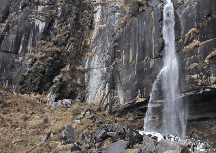 Paseo por la Naturaleza de Manali (Experiencia de senderismo guiado de 3 horas)