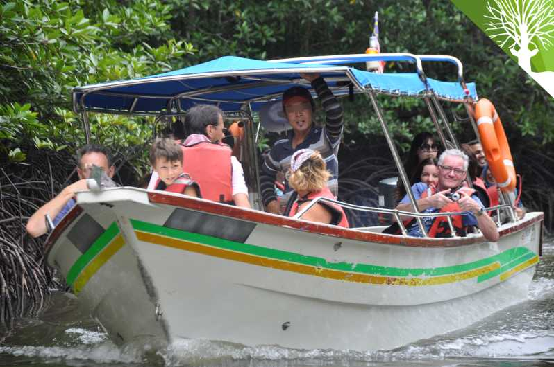 Langkawi: Tour en barco de un día entero por los manglares con almuerzo