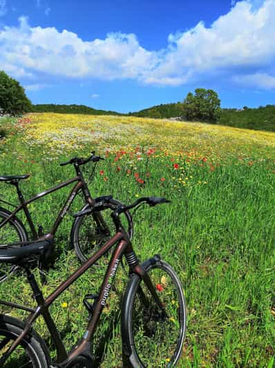 Visita a Alberobello con E-Bike y degustación de Focaccia