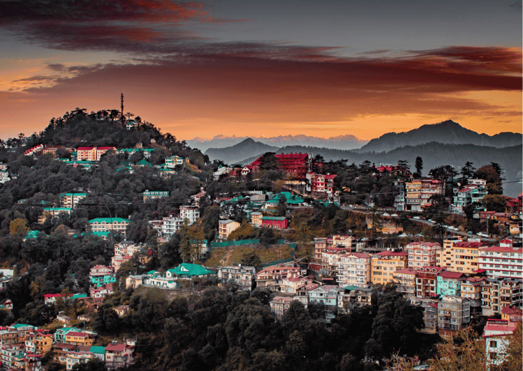 Caminata por la Naturaleza de Shimla (Experiencia de senderismo guiado de 3 horas)