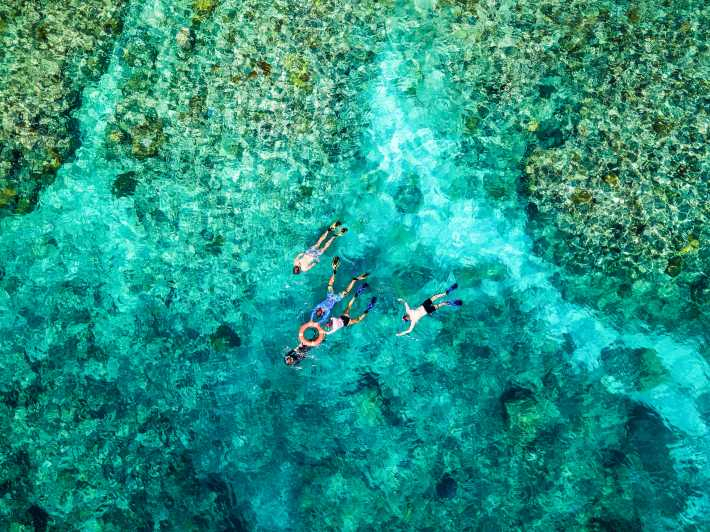Cairns: Excursión de snorkel o buceo en la Gran Barrera de Coral y almuerzo