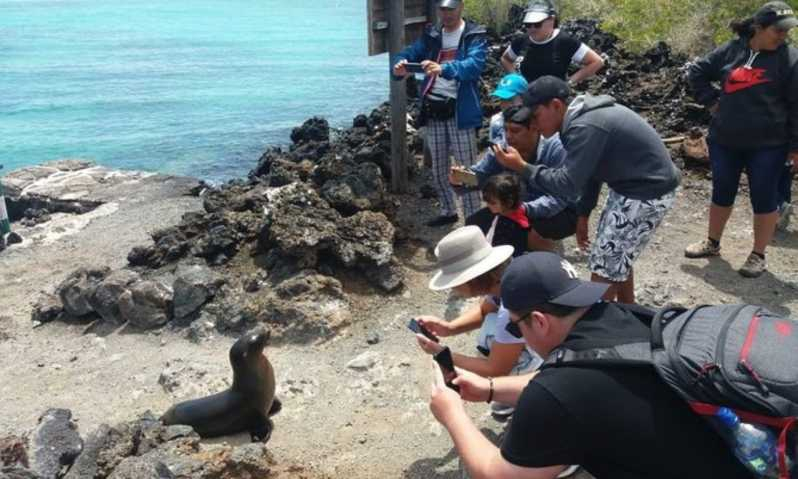 Excursión de un día a la Isla Isabela y Tintoreras en Galápagos
