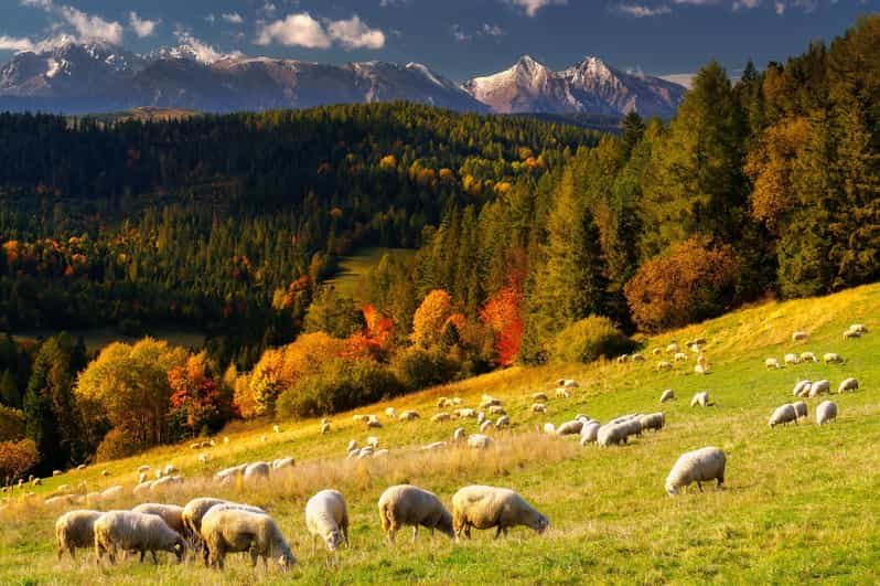 Atracciones y actividades en Zakopane y los Montes Tatra