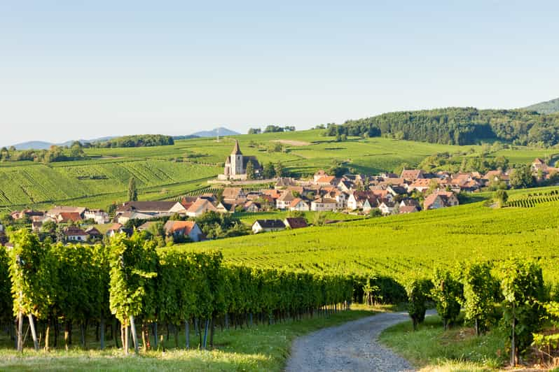 Tour de vinos de medio día por Alsacia desde Colmar