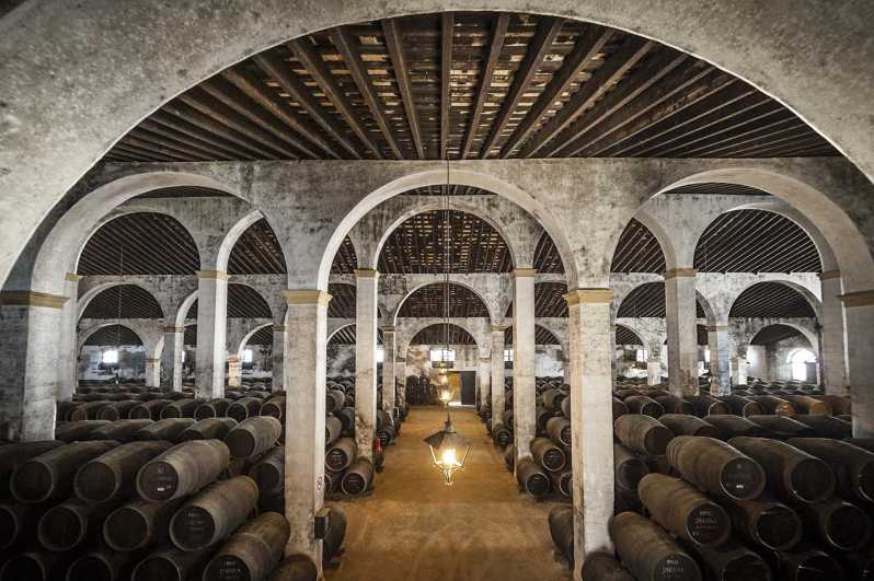 Jerez: Visita de 1,5 horas a Bodegas y Cata de Vinos de Jerez
