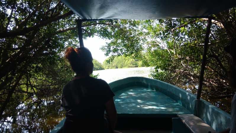 Suelta de Tortuguitas, Paseo en Barco por la Laguna y Granja de Cocodrilos
