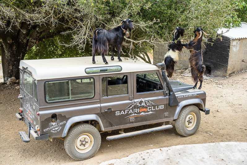 Creta: Safari en Land Rover por la Ruta Minoica