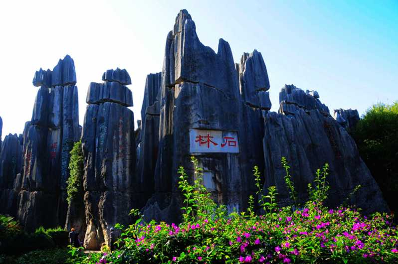 Día de viaje a Kunming Bosque de Piedra y Monasterio Yuantong