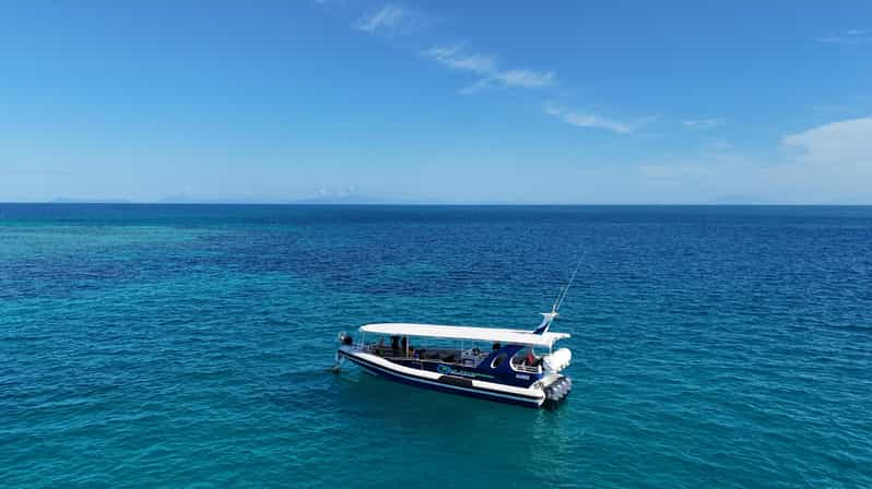 Playa de la Misión: Excursión de snorkel por la Gran Barrera de Coral