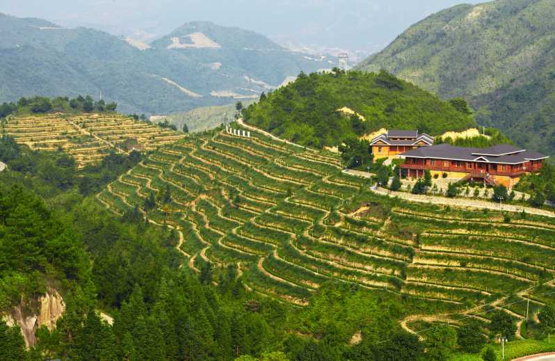 Jardín de Té Anxi y Roca Hong'en desde Xiamen