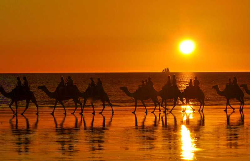 Taghazout: Paseo en camello por la playa al atardecer con traslados al hotel