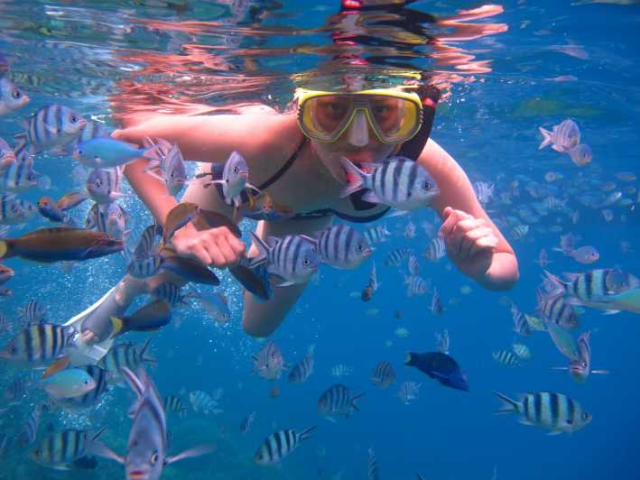 Desde Gili Trawangan: Excursión de snorkel a las Islas Gili