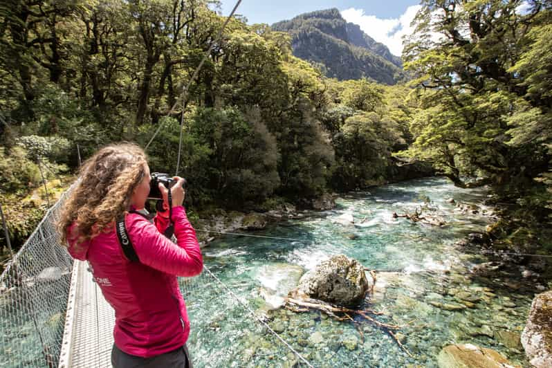 Desde Te Anau Autobús, Crucero y Paseos por Milford Sound